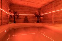 Priv&eacute; Sauna Fire (3)