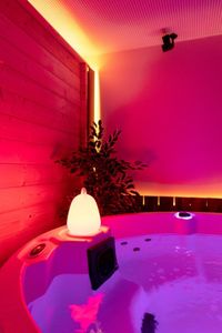 Prive Sauna Terra (1)