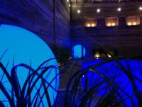Priv&eacute; Wellness Wood (2)